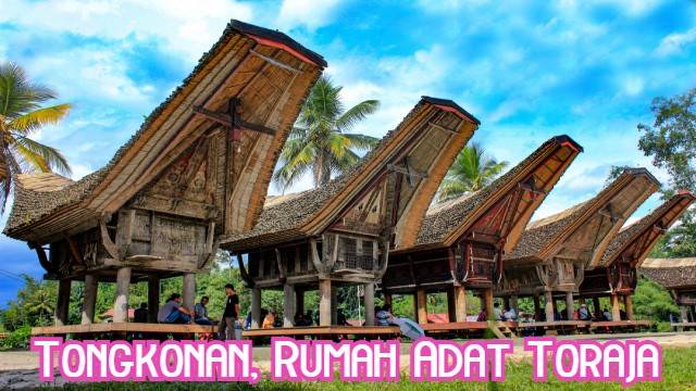 Tongkonan, Rumah Adat Toraja